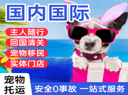 西昌青山机场邮寄国际宠物托运 【国